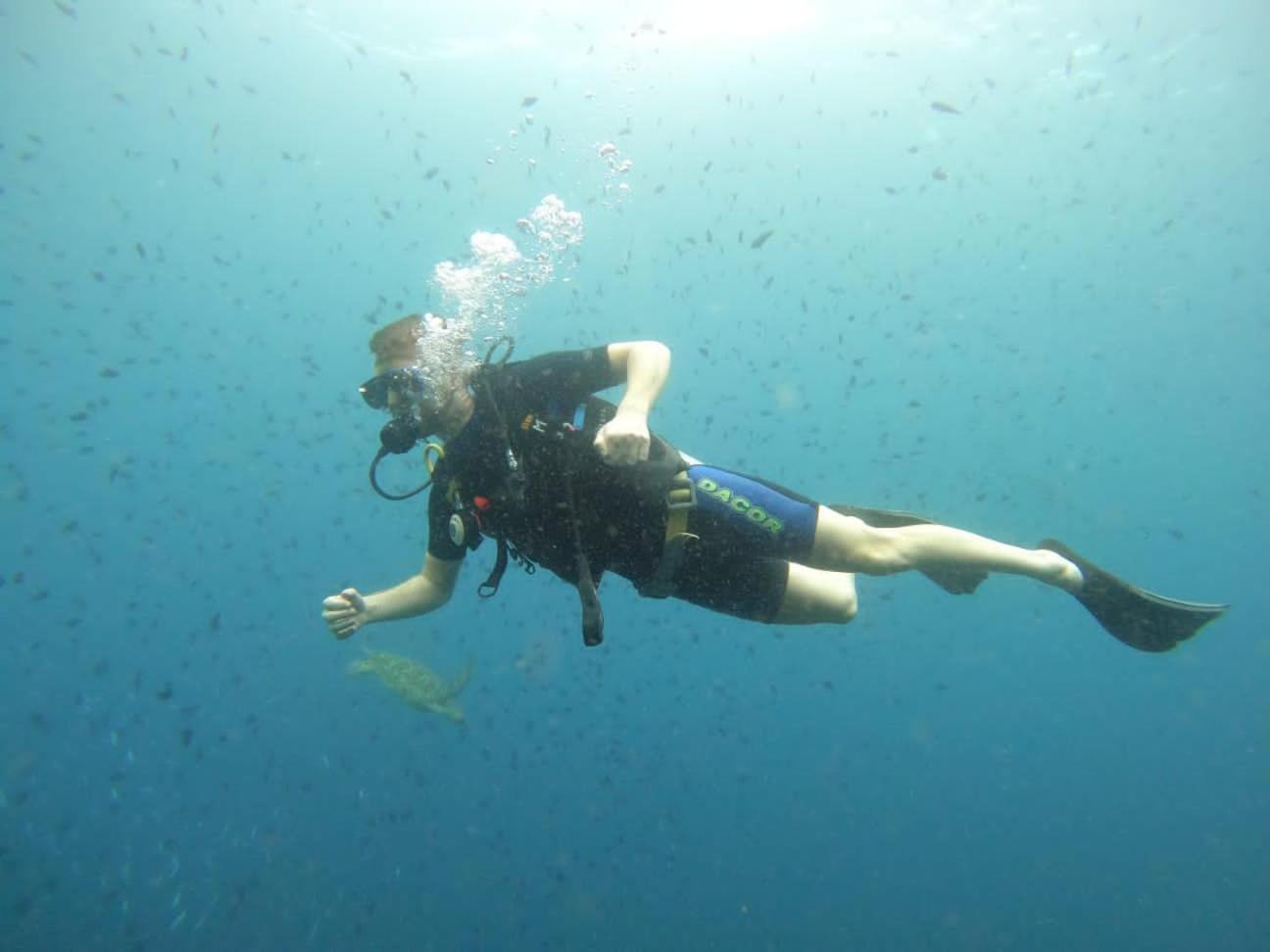 4 Sisters Divers *