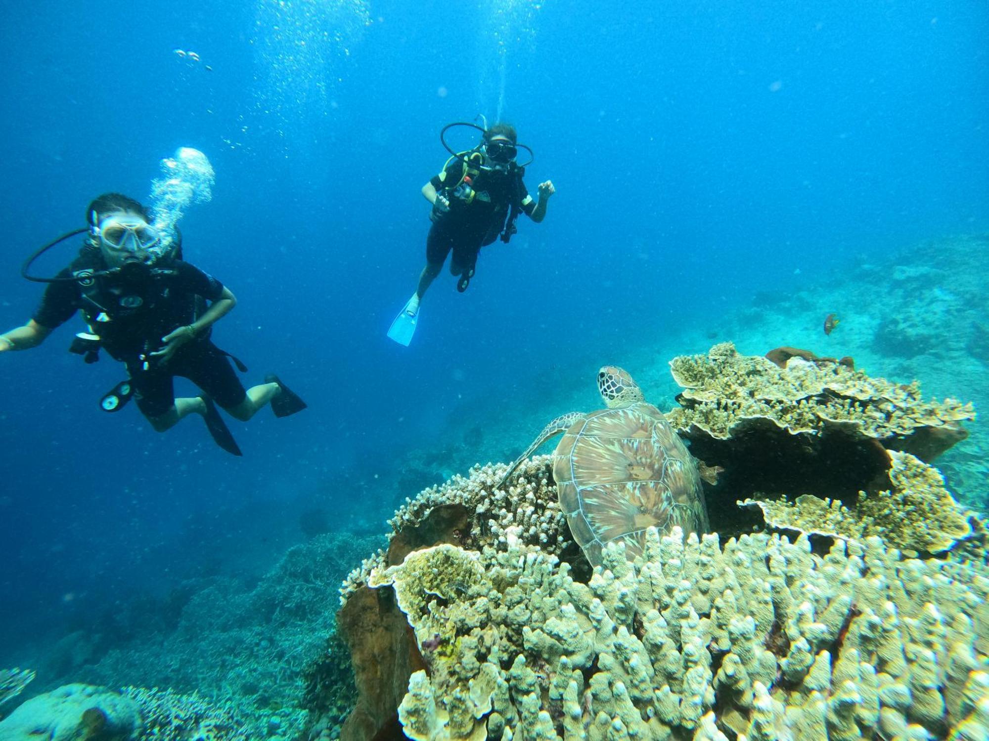 4 Sisters Divers Homestay *