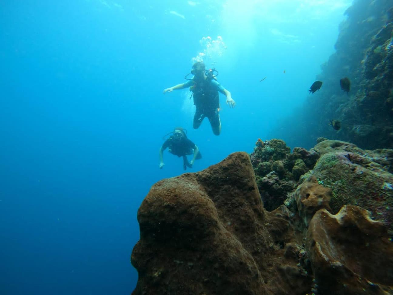 4 Sisters Divers