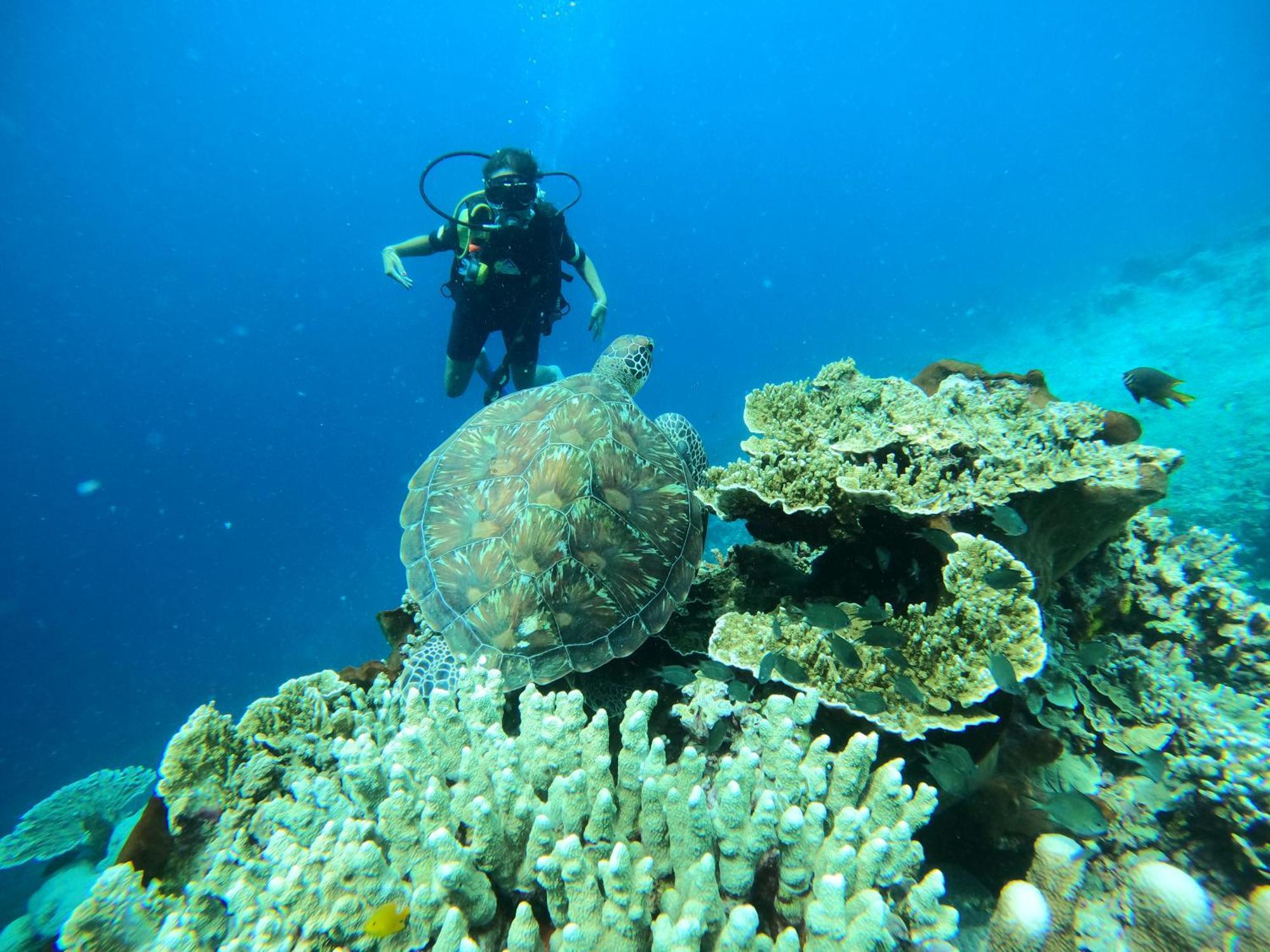 4 Sisters Divers * Bunaken