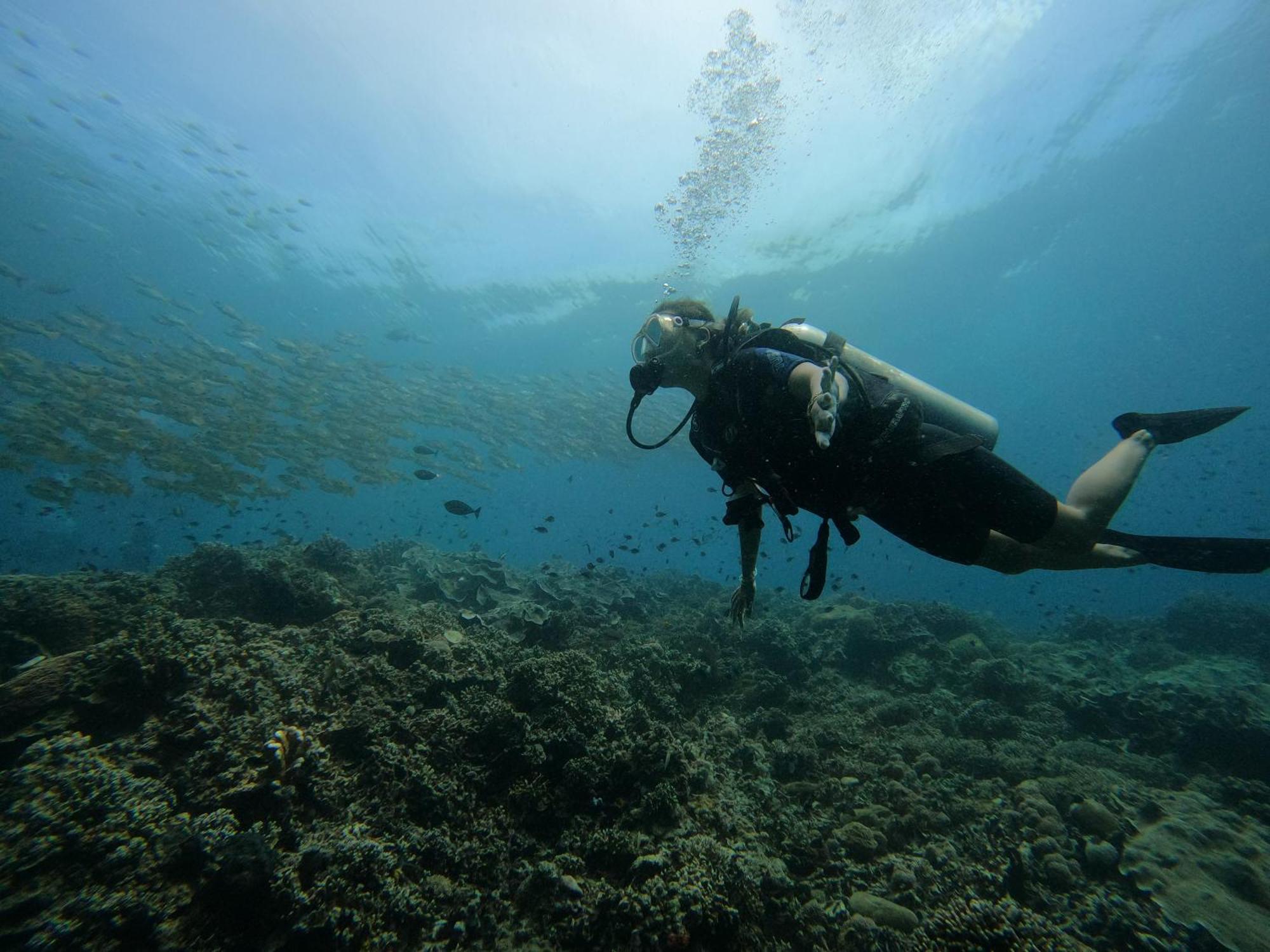 4 Sisters Divers Homestay