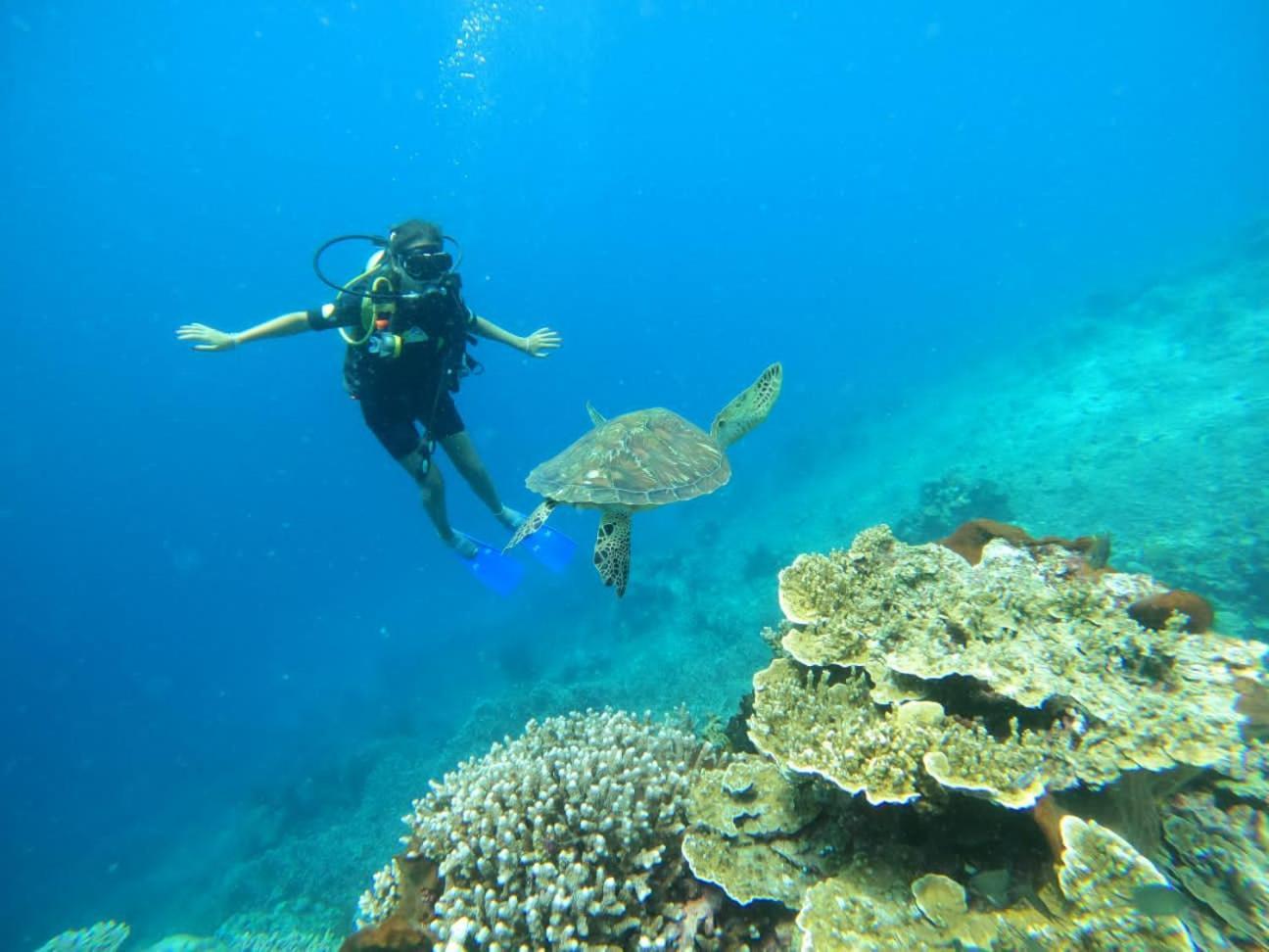 Homestay 4 Sisters Divers Bunaken