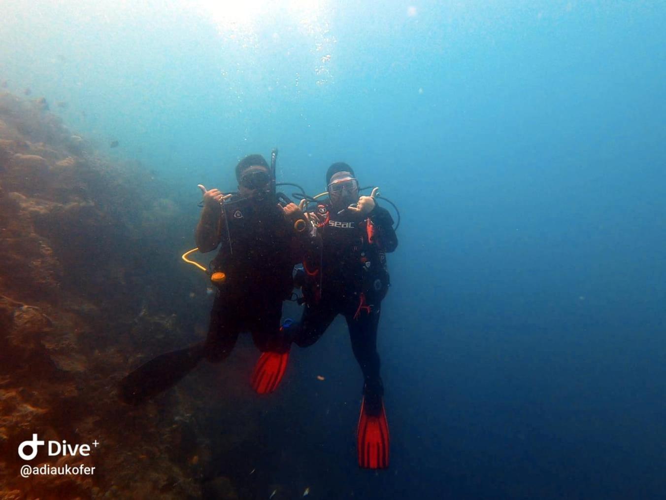 Homestay 4 Sisters Divers