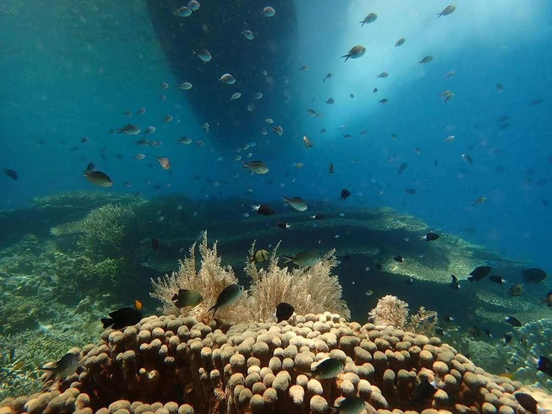 4 Sisters Divers * Bunaken